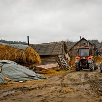 хуторское хозяйство. :: Ирэна Мазакина