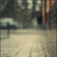весенний дождь :: Lis ProvokatoRR 