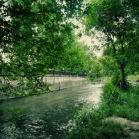 Река в парке :: Настя Емельянцева