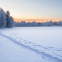 Зима на Совином заливе :: Наталия Крыжановская