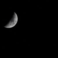 Moon light :: Владислав Маркус 