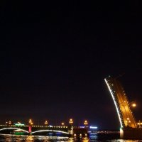 Троицкий мост. Санкт-Петербург :: Лёля Анурина