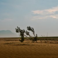 Ветренно у нас, неспокойно :: Евгения Вишнякова