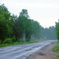 Дорога на дачу. :: Юрий Шувалов