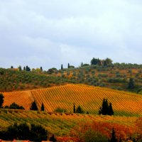 Тоскана, осень :: Любовь Изоткина