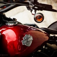 Открытие сезона Harley Davidson :: Катерина Баранова