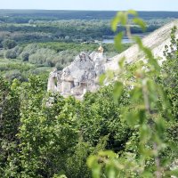 Дивногорье. :: Наталья Величко