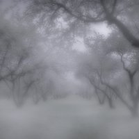 коломенское туман :: юрий макаров
