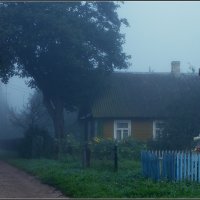 Туманное утро :: Василий Хорошев