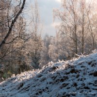 Зима :: Андрей Andrey