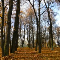 Осень в Гатчинском парке :: Ирина Михайловна 