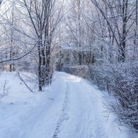 Зима :: Алена Сизова
