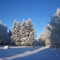 Зима на аллеях парка :: dli1953 