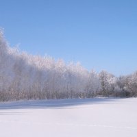 Прозрачный лес :: Александр Елизаров