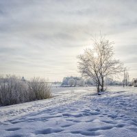 Зимний пейзаж :: Майя Афзаал