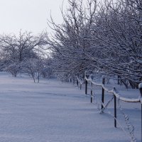 Экскурсия в Гадюкино зимой (14) :: Александр Резуненко