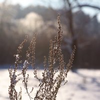 Вечереет :: Эльвира Сагдиева