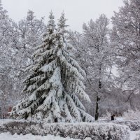 Рязань снежная :: Алексей Агалаков