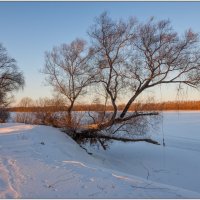 Первые лучи зимнего солнца :: Сергей Бережко