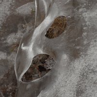 маска из льда.. :: Михаил Жуковский