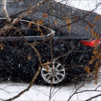 Февральский дождь ...  февральский снег...  всё сразу.. :: Валерия  Полещикова 