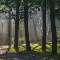 Утренний туман :: Алёнка Шапран