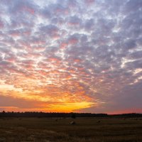 На закате :: Алёнка Шапран