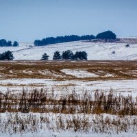 Поля и перелески :: Дмитрий Шатров