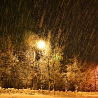 Ночной снегопад. :: Михаил Столяров