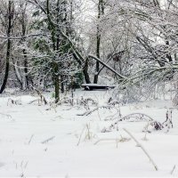 Выпал мокрый снег.. :: Юрий Стародубцев