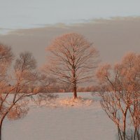 морозное утро :: владимир володёнок