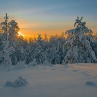 Зима :: Сергей 