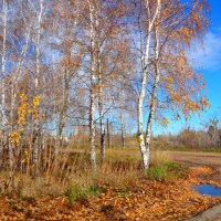 Осень :: Александр 