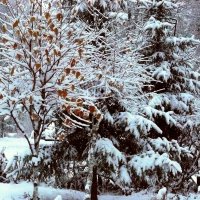 первый снег :: Леонид Натапов