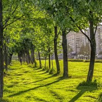 Городской оазис :: Владимир Филимонов