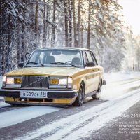 Volvo 244 :: Людмила Габибуллаева