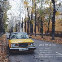 Volvo 244 (осень 2015) :: Людмила Габибуллаева