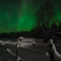 Сияние с доставкой на дом... :: Елена Решетникова