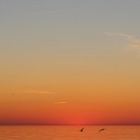 Рижский залив. Закат. :: Ирина Волкова