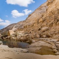 пустыня Негев - Израиль :: Stanislav Gvozdin