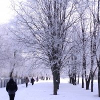 ЗИМА :: Анатолий Бугаев