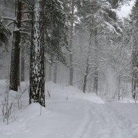 Зима :: Владимир Холодницкий