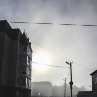 Утренний туман :: Алёнка Шапран
