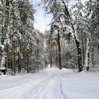 Зимняя картинка :: Милешкин Владимир Алексеевич 