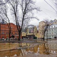Петербург,10 февраля 2016 года. :: ник. петрович земцов