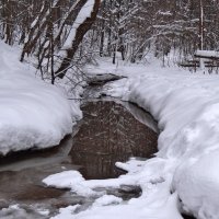 лесная речка :: Валентина. .