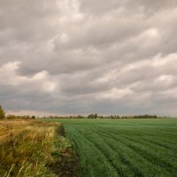 Угасание и надежда :: Лариса Макарова