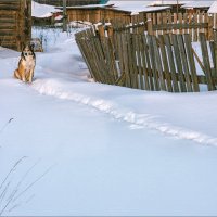 На посту... :: Александр Никитинский