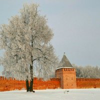 Зимний Смоленск :: Милешкин Владимир Алексеевич 