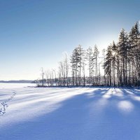 Следы :: Евгений Львович Сафронов